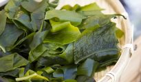 health benefits of seaweed