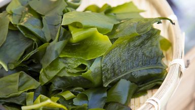 health benefits of seaweed