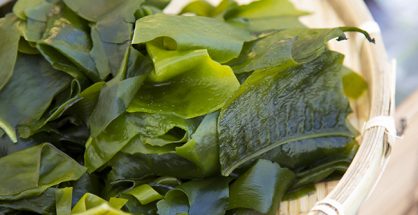 health benefits of seaweed