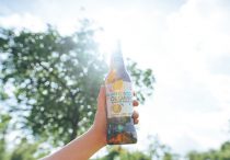 Wyld Wood Organic Cider