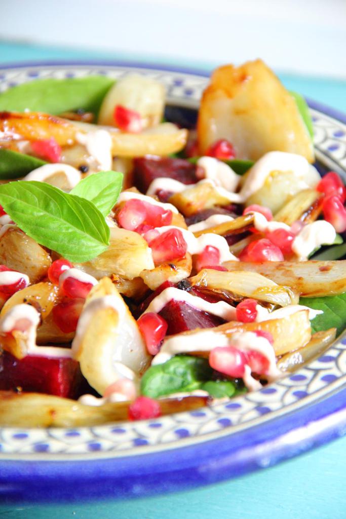 Warm-Fennel-Pomegranate-Salad-closeup-Copy