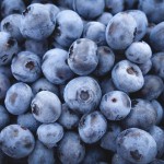 blueberries-690072_1280