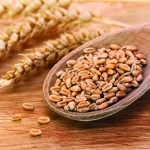 Wheat_Grains©istock