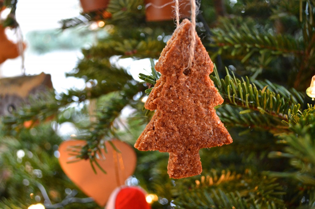 Gluten-Free Gingerbread Christmas Cookies