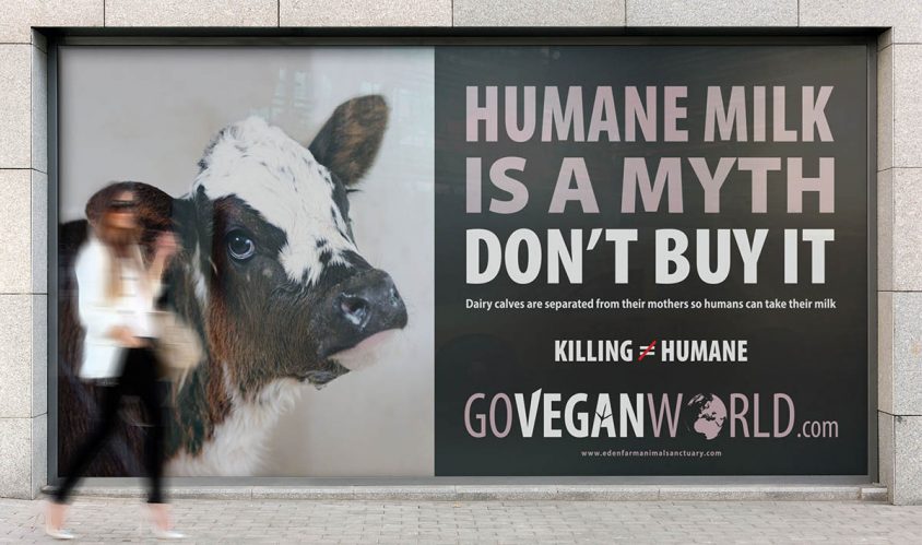 vegan adverts