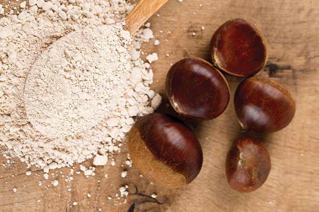 chestnut flour in a wooden spoon