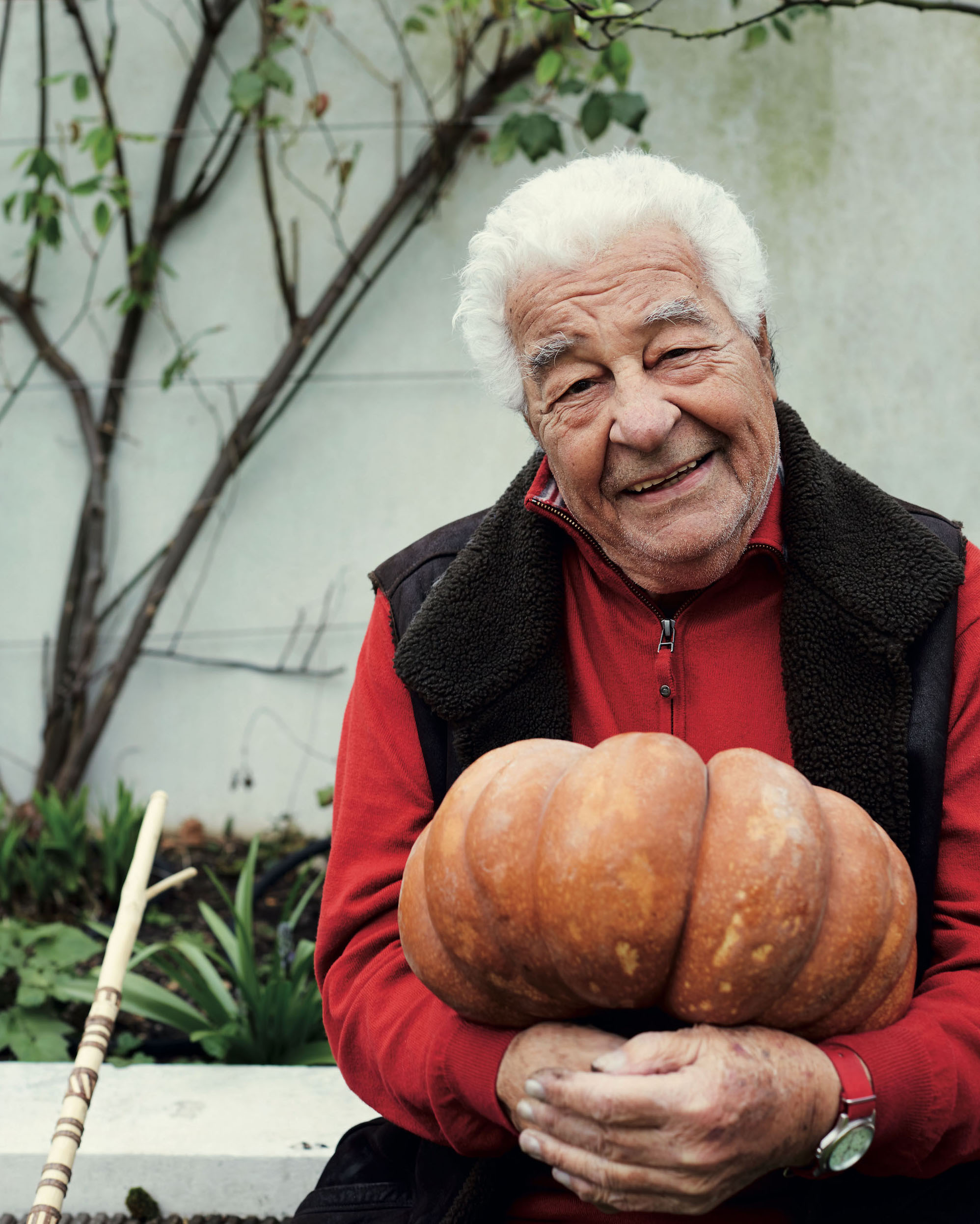 Italian restaurant Carluccio's launches its first vegetarian pop-up