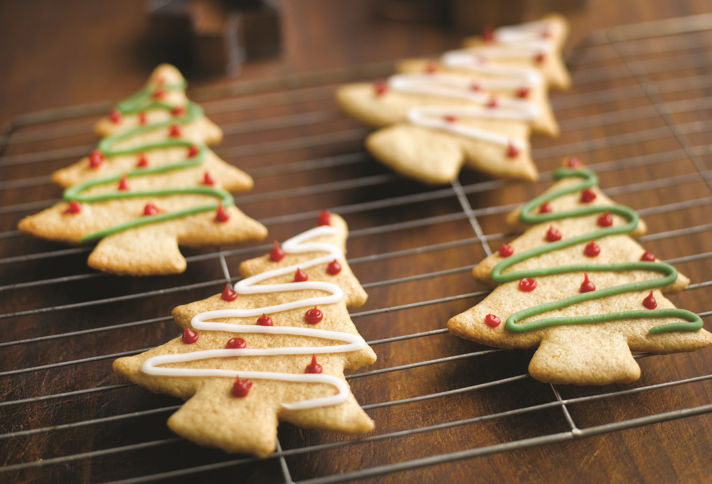 Gluten free Gingerbread Christmas Cookies.jpg