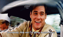 https://giphy.com/gifs/funny-lol-hilarious-14oCNPvrcsEUww