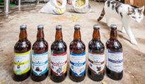guten-free brewery