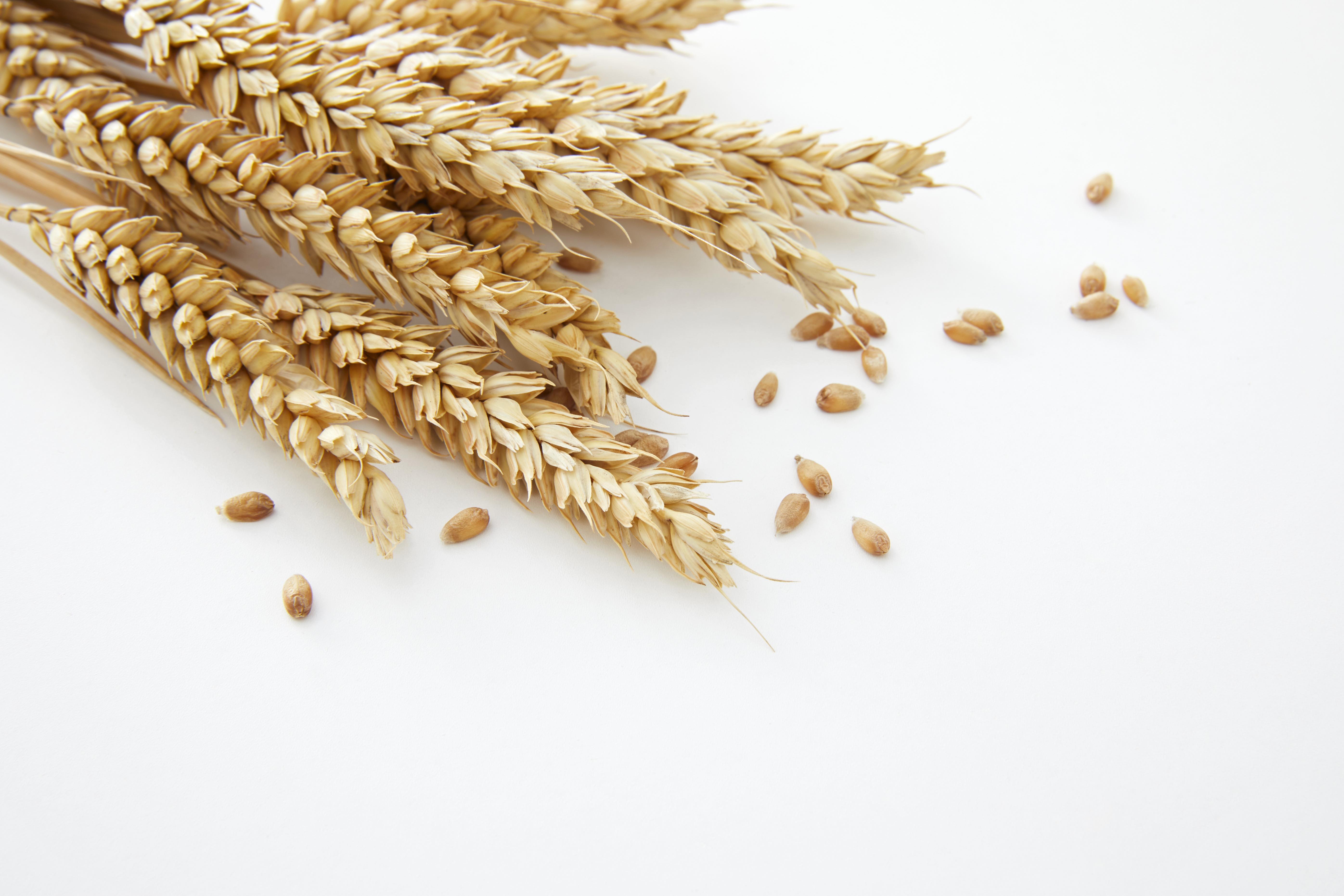 Coeliac Disease : The myths and facts you need to know