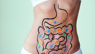 gut health