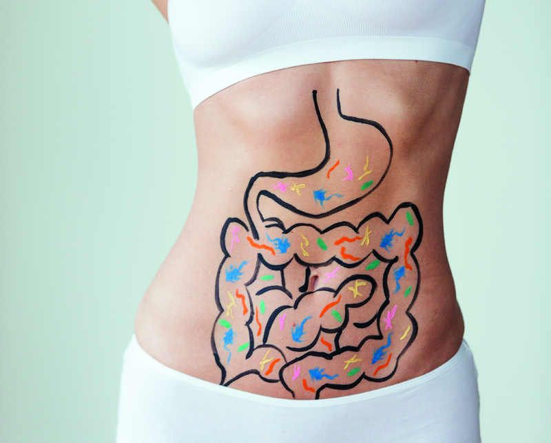 gut health