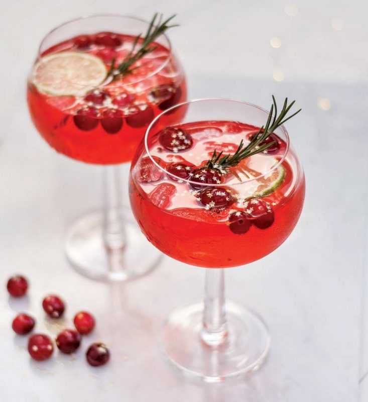 Cranberry gin