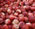 Apples