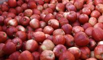 Apples