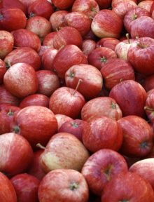 Apples